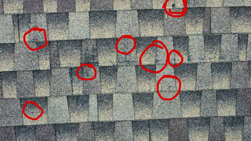 Hail damage to shingles noted from a Texas Roof Inspection